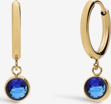 Lucardi Ohrringe in Gold: Vorderseite