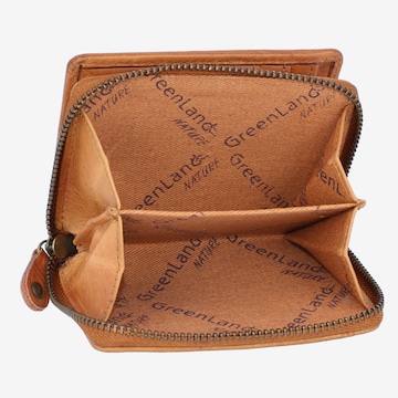 Greenland Nature Wallet in Brown