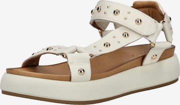 INUOVO Sandals in Beige: front