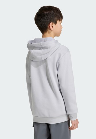 ADIDAS TERREX Sportsweatshirt 'Adidas x Minecraft' in Grau