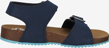 TIMBERLAND Sandale in Blau