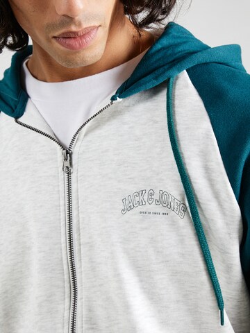 JACK & JONES Sweatjacken 'RICKY' in Grün