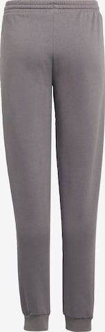 Tapered Pantaloni sportivi 'Entrada 22' di ADIDAS PERFORMANCE in grigio