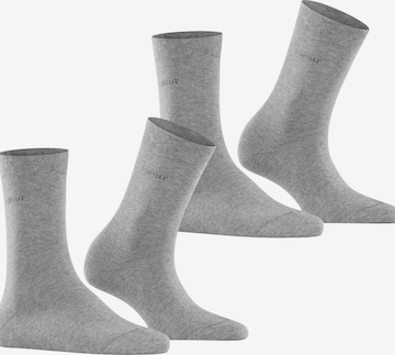ESPRIT Socks 'Basic Easy 2-Pack' in Grey: front