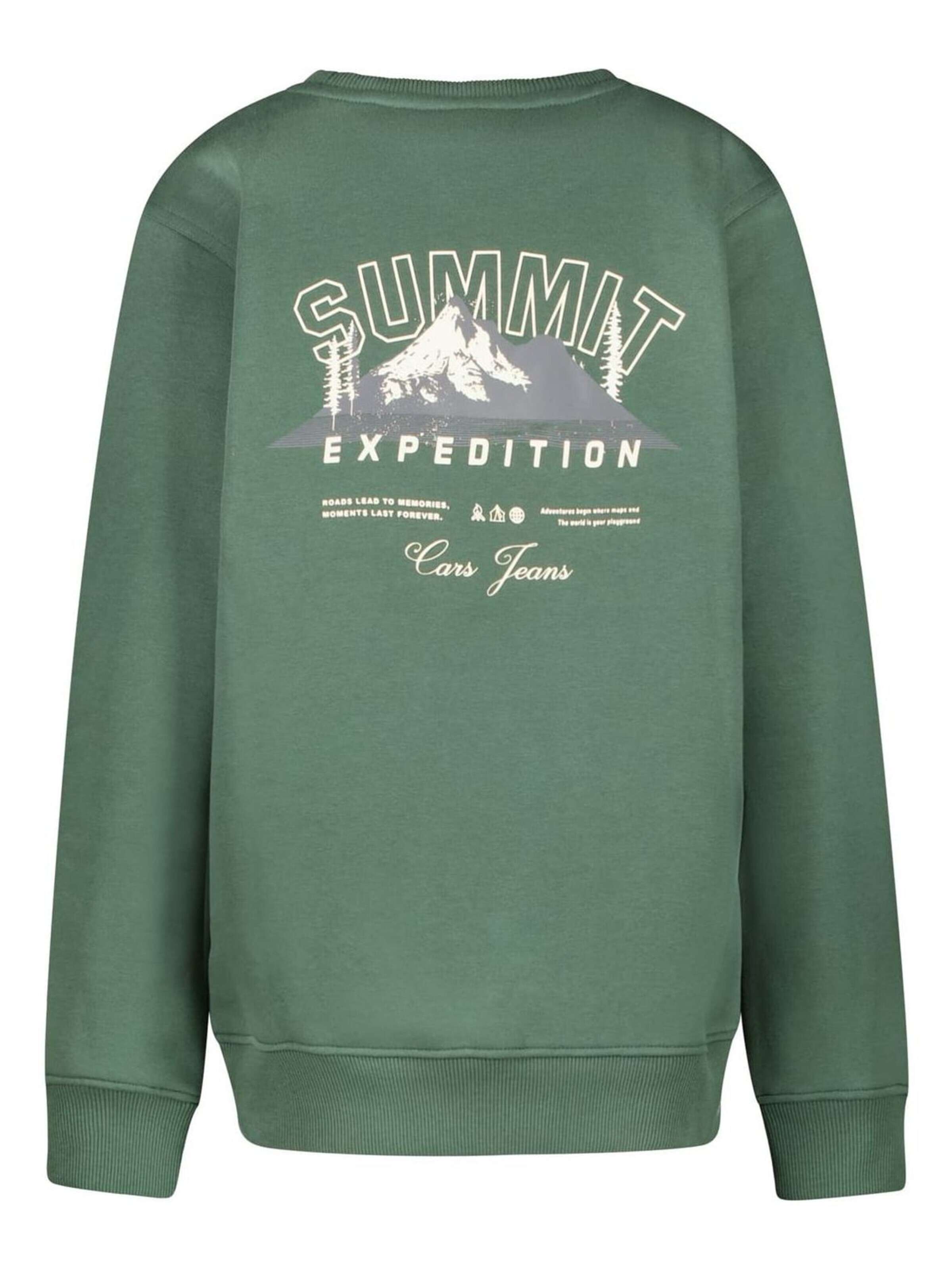 CARS Sweatshirt in Green