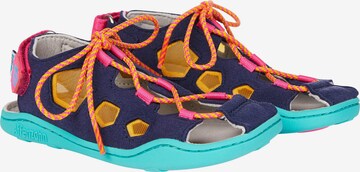 Affenzahn Sandals & Slippers 'Eule' in Blue
