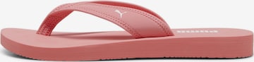 PUMA T-Bar Sandals 'Sandy' in Pink: front