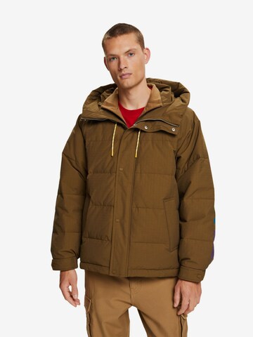 ESPRIT Winter Jacket in Brown: front