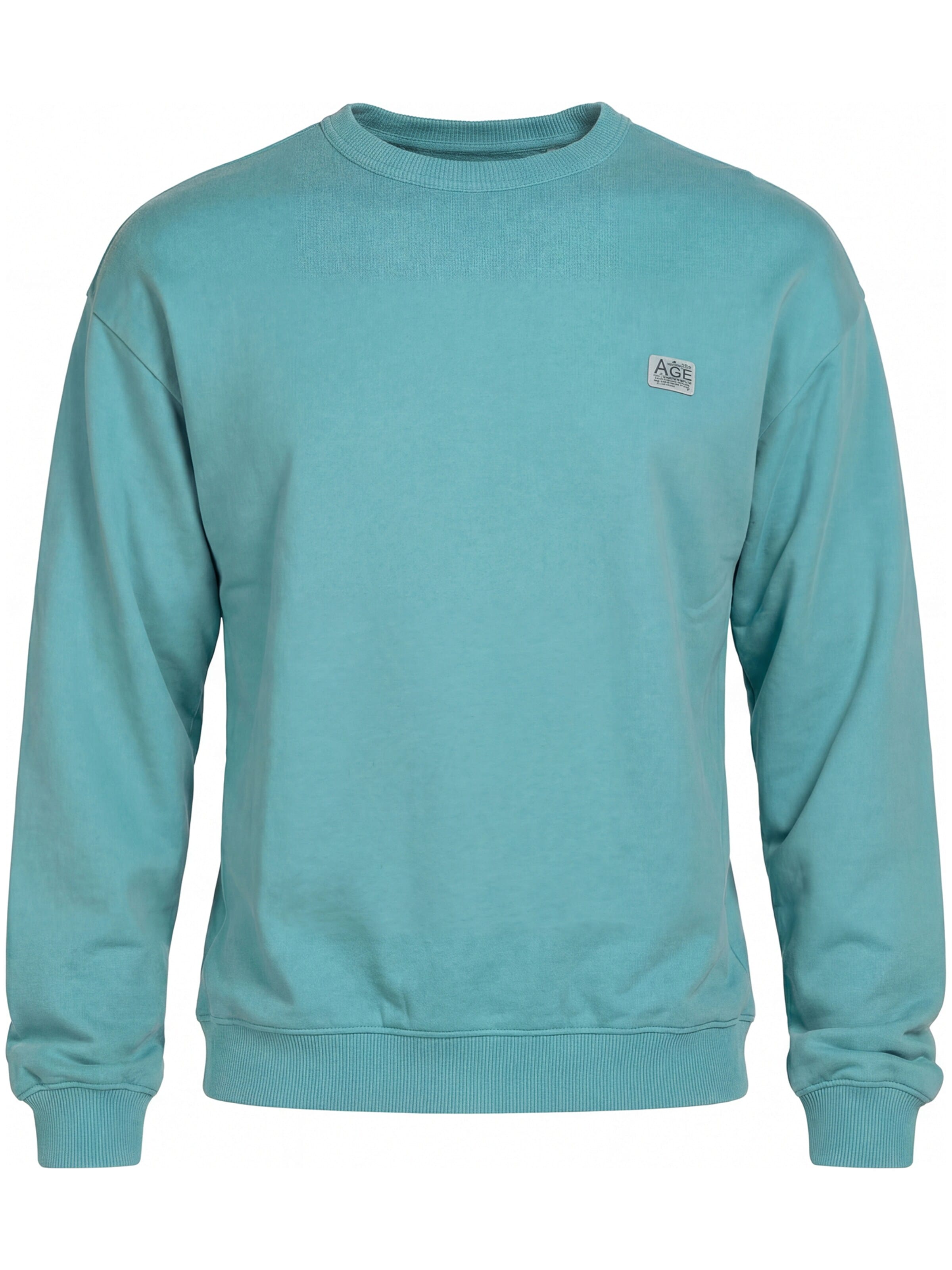 Carrera Jeans Sweatshirt 'Boxy Fit'‌‌‌‌‌‌ in Blau: Vorderseite