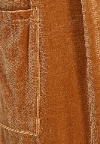 NAEMI Gebreid vest in Bruin