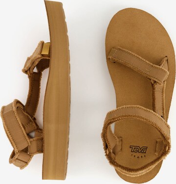 TEVA Hiking Sandals in Brown