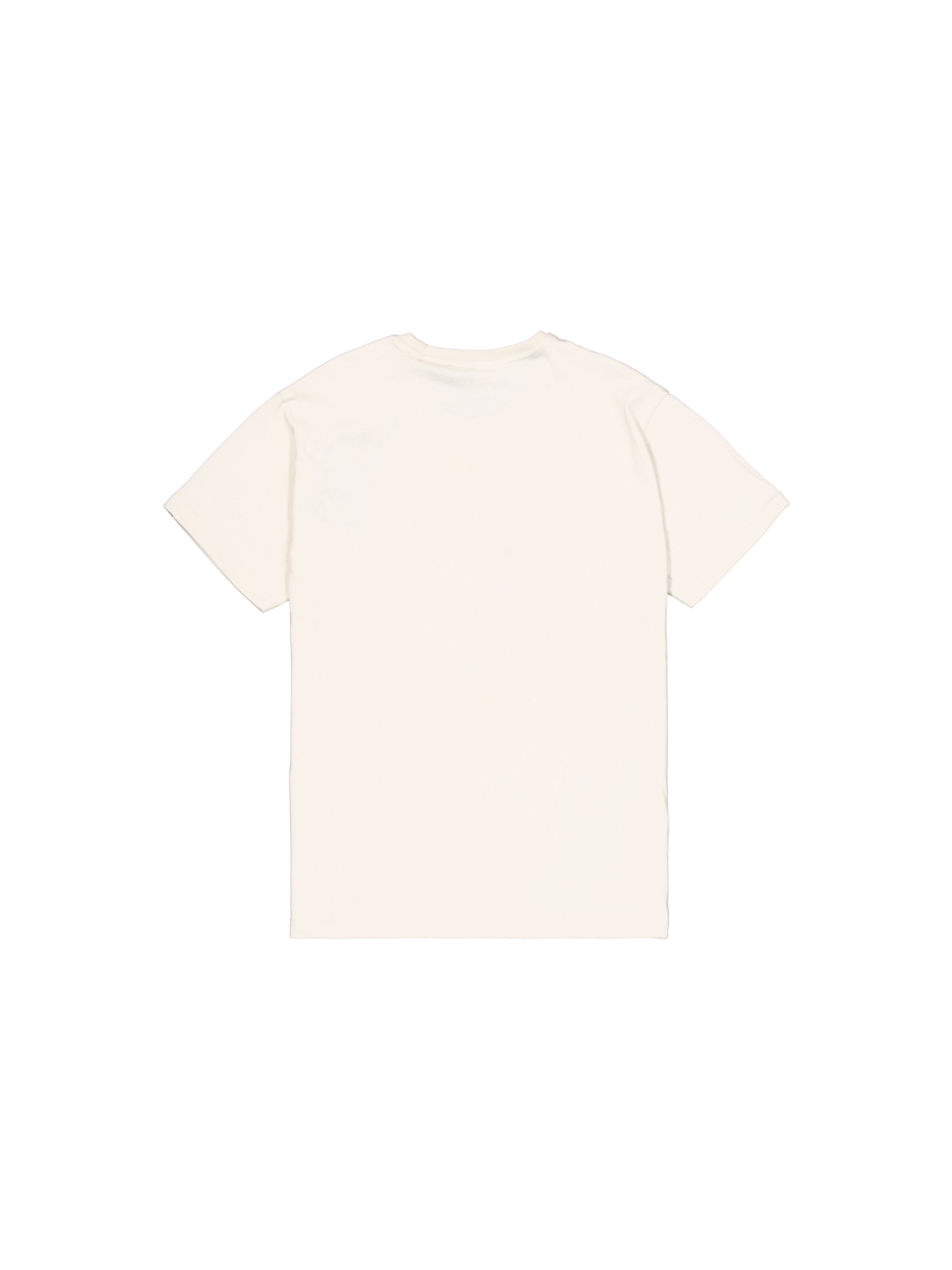 ALPHA INDUSTRIES Shirt in Wit