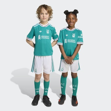 ADIDAS PERFORMANCE Sportanzug 'FC Liverpool 25/26''' in Grün