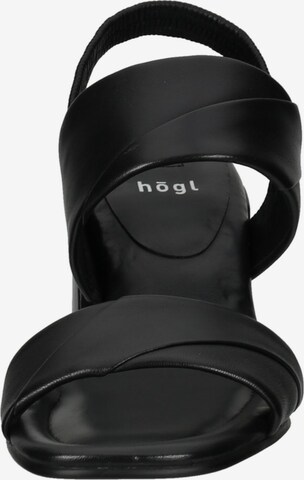 Högl Sandalen met riem in Zwart