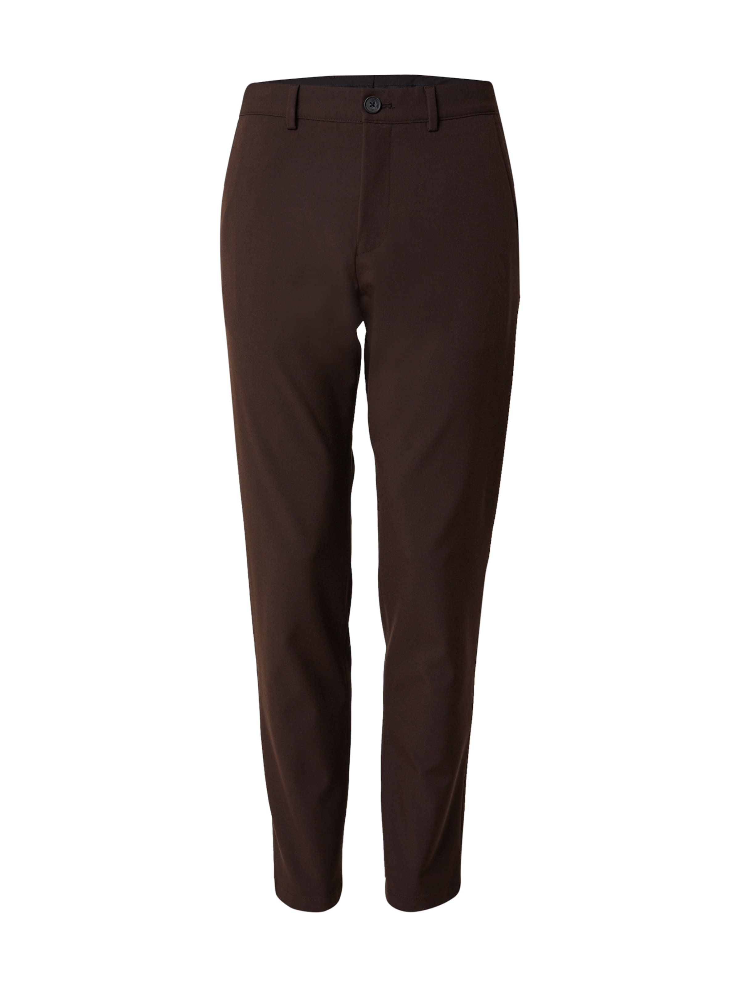 Pantaloni 'SLHRobert' di SELECTED in marrone: frontale