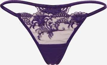 Bluebella Thong in Purple: front