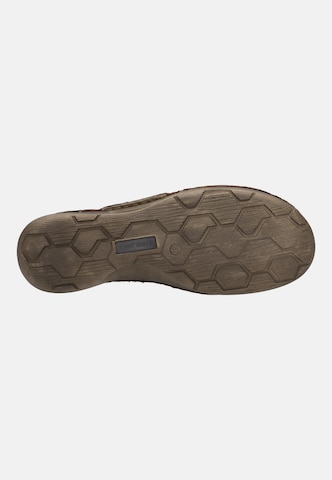 JOSEF SEIBEL Schnürschuh 'FERGEY 56' in Braun