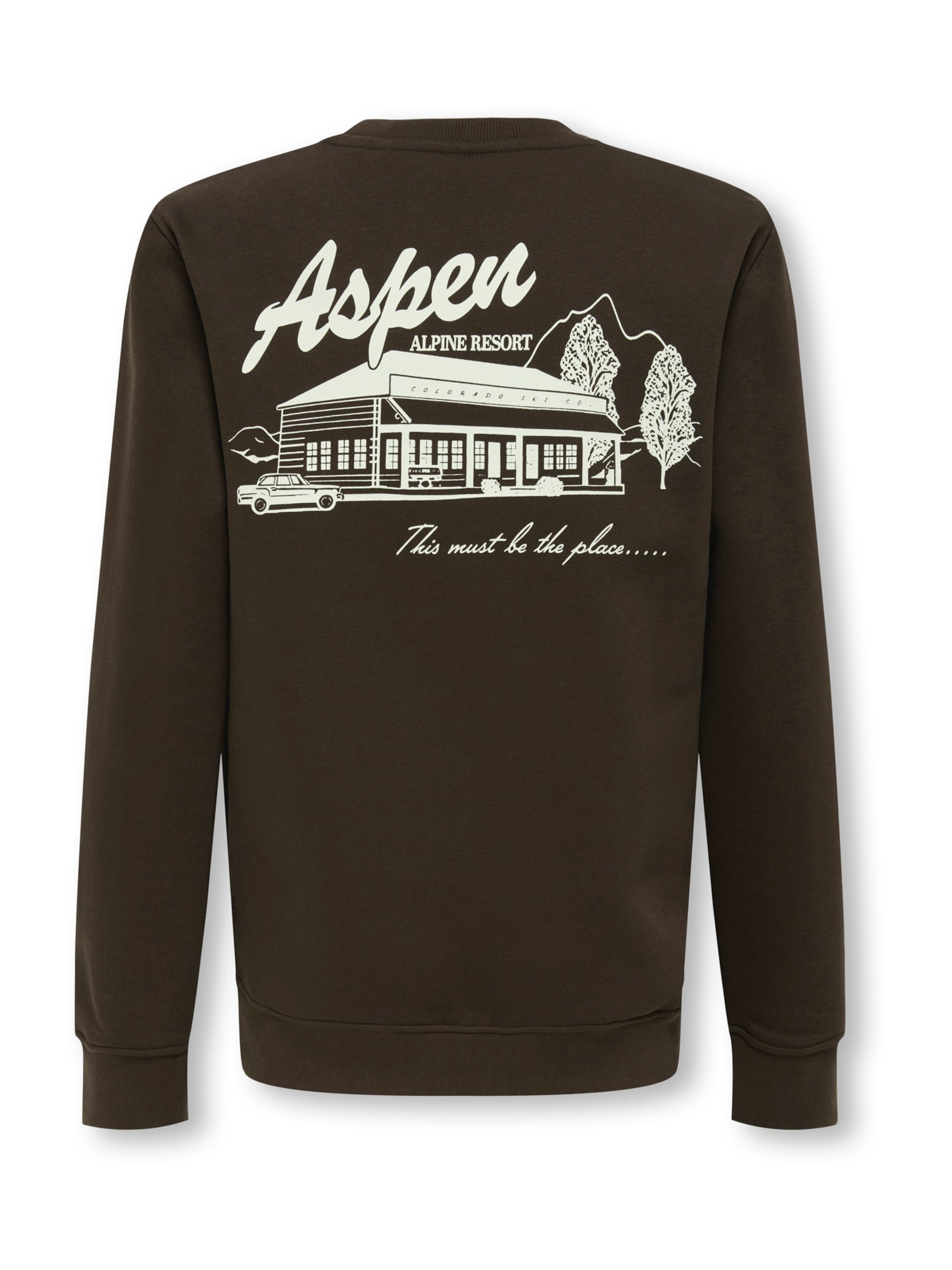 Only & Sons Junior Μπλούζα φούτερ 'OSJCONNOR SNOW' σε καφέ: μπροστά