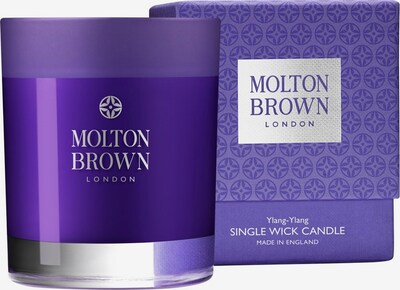 Molton Brown Kerze 'Ylang-Ylang Single Wick' in dunkellila, Produktansicht