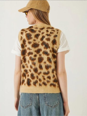 Pull-over Bianco Lucci en marron