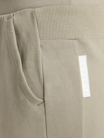 Elbsand Regular Hose 'Brinja' in Beige