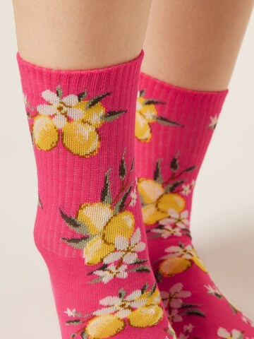 CALZEDONIA Socks in Pink