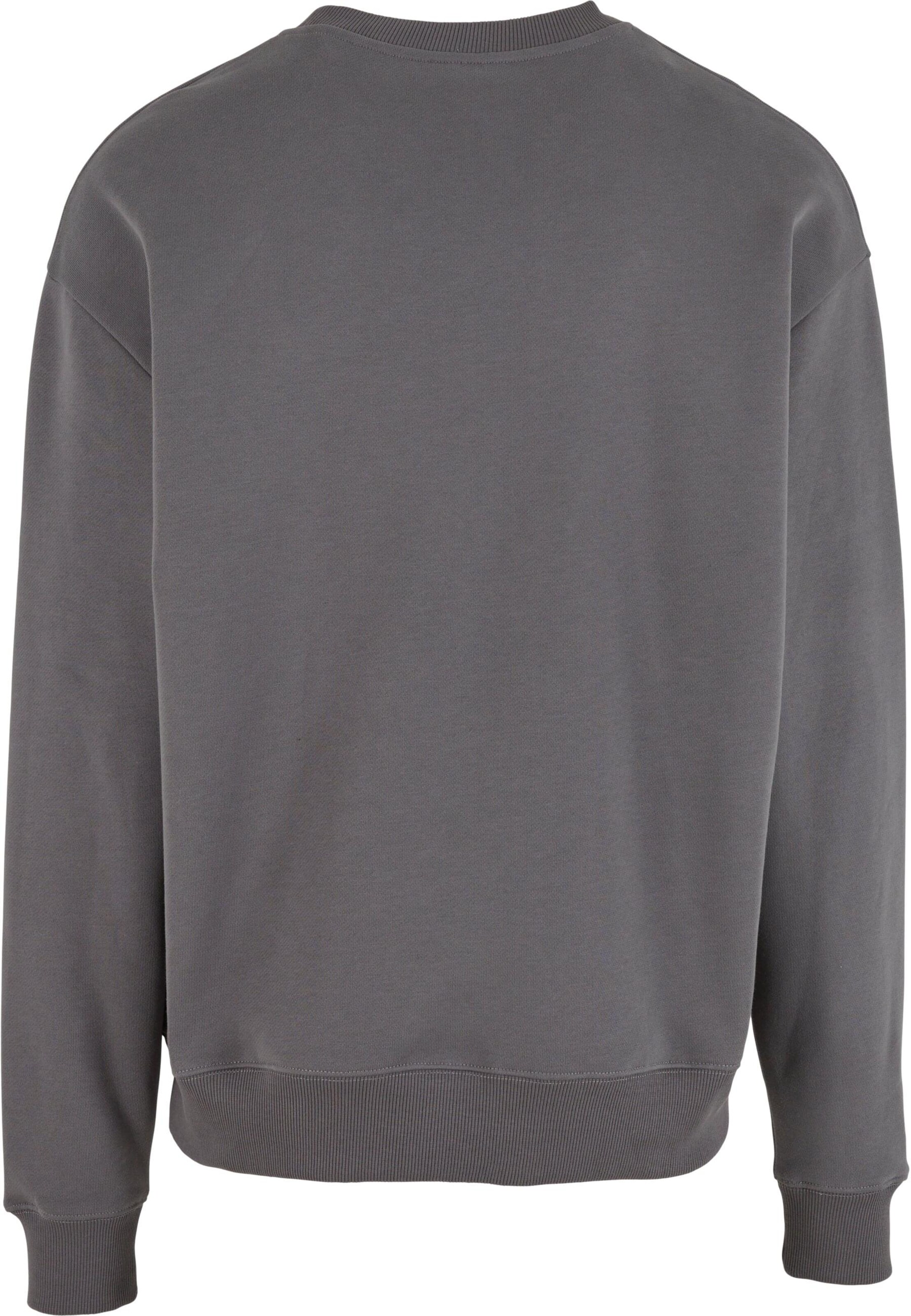 Fast & Bright Sweatshirt 'Fast and Bright Real Ones' in Grau