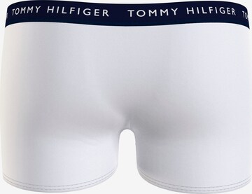 mišri Tommy Hilfiger Underwear Apatinės kelnaitės