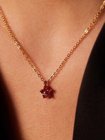 Lucardi Ketting in Goud