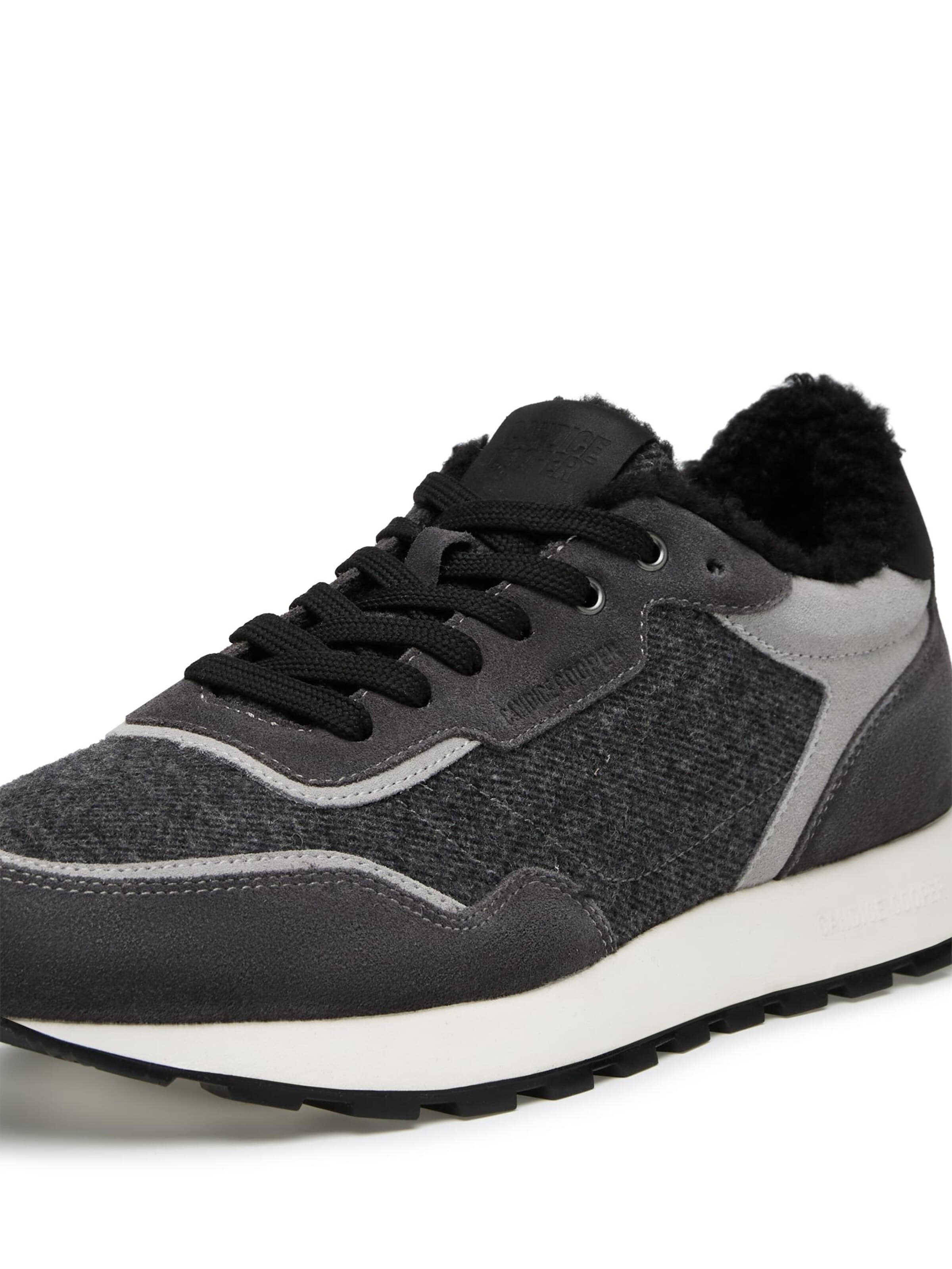 Candice Cooper Sneakers laag 'PLUME 3 FUR MAN.' in Grijs