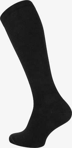 Cotton Prime Kniekousen in Zwart: voorkant