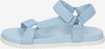 SIOUX Sandals 'Ingemara' in Blue