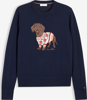 TOMMY HILFIGER Свитер в Синий: спереди