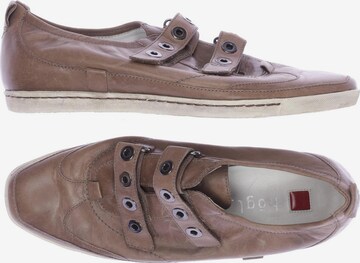 Högl Flats & Loafers in 38 in Brown: front