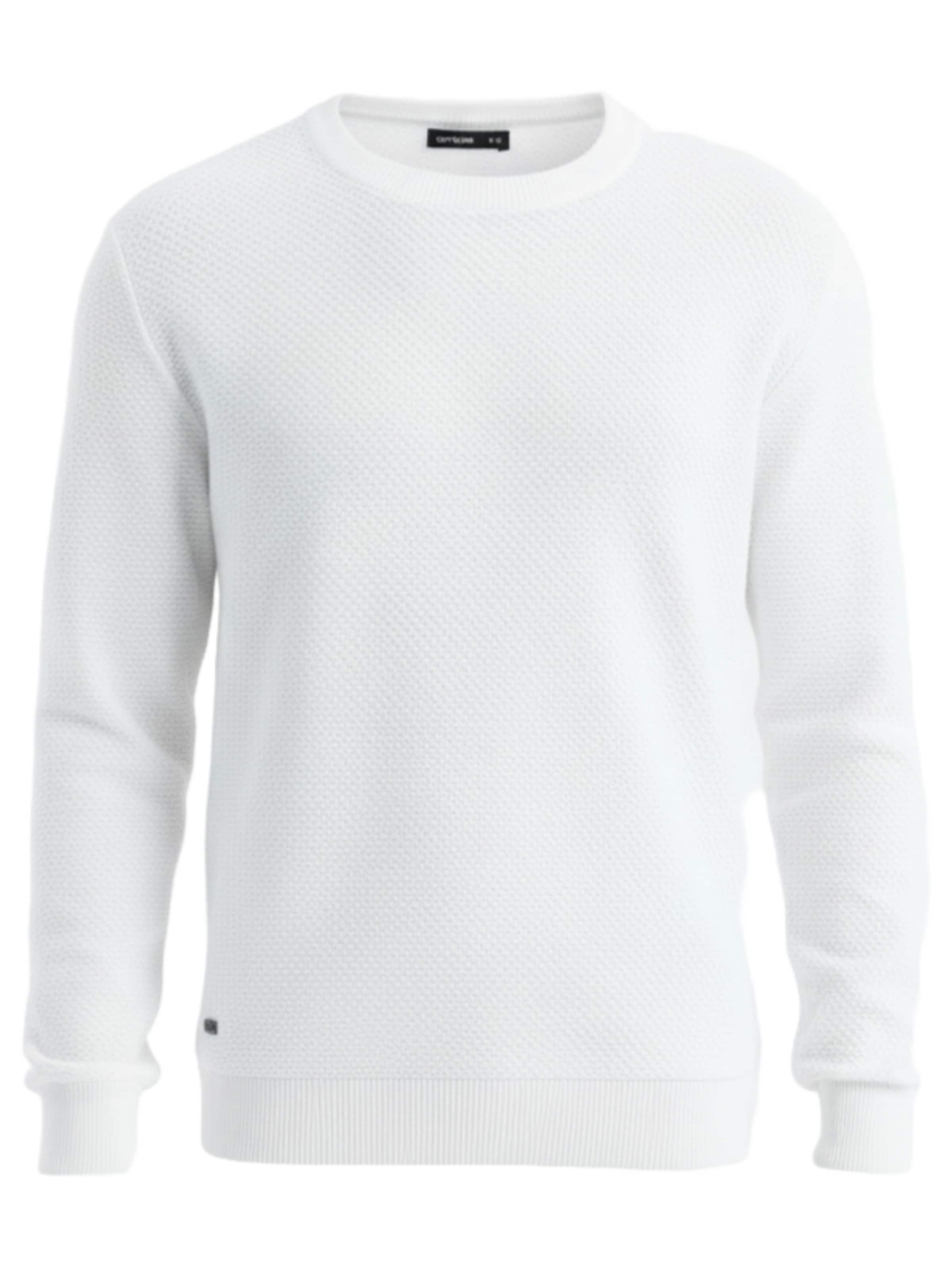 Ombre Sweater 'OM-SWSW-0110' in White: front