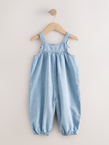 Next Overall in Blue