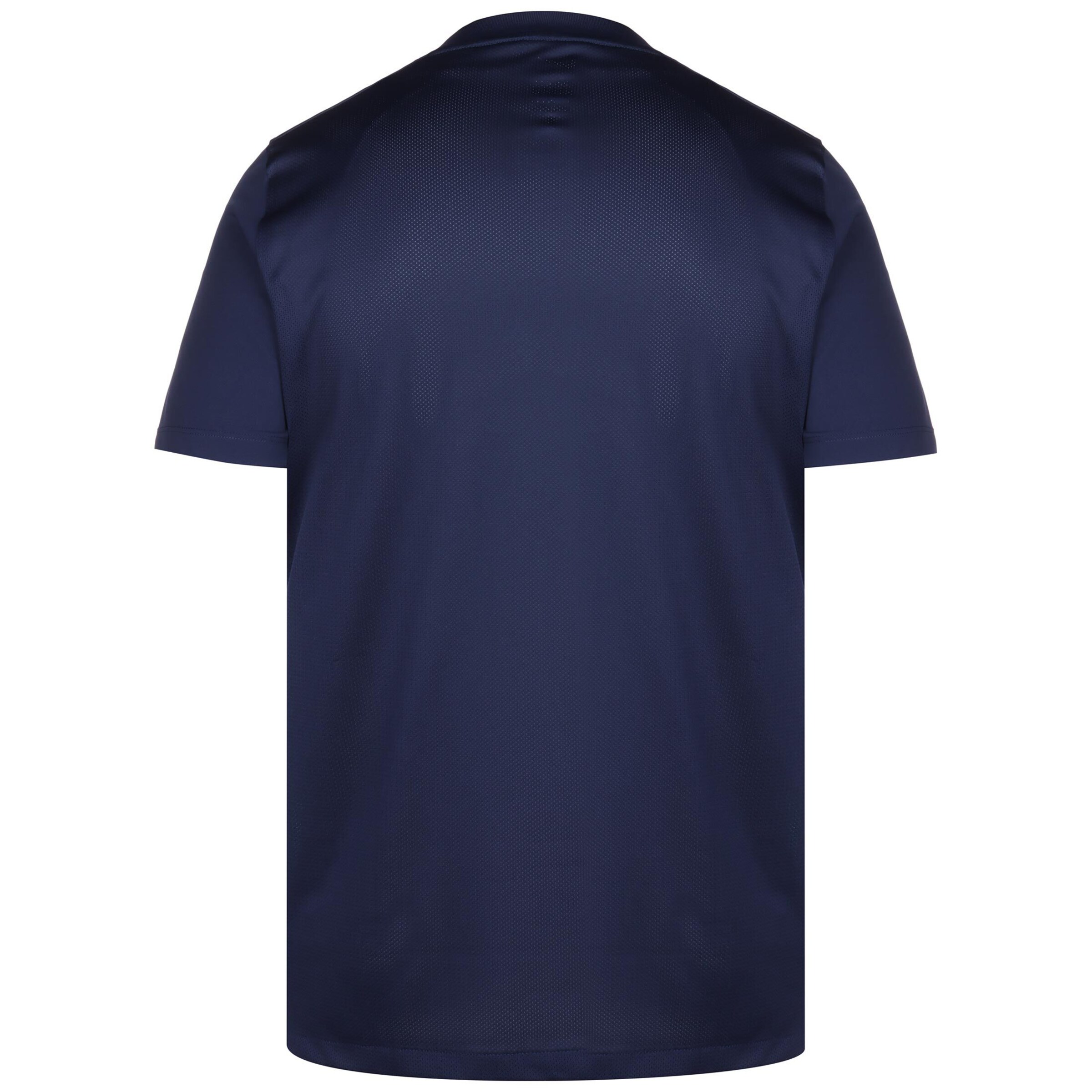 NIKE Trikot 'Precision VI' in Grün