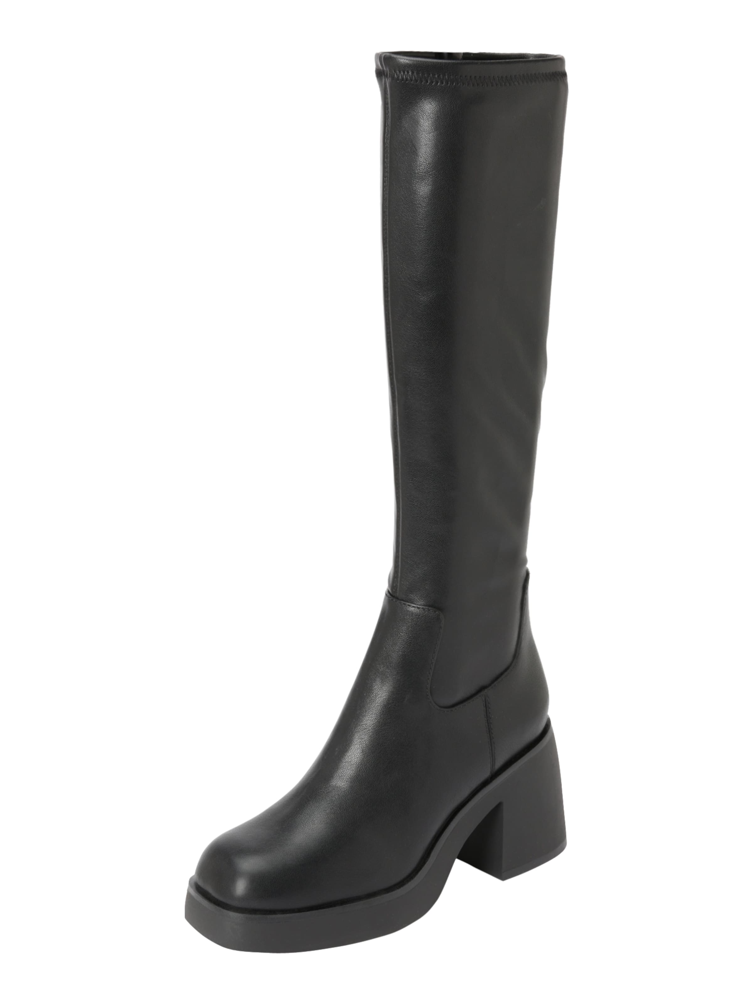 ALDO - Bota 'AUSTER' em preto: frente