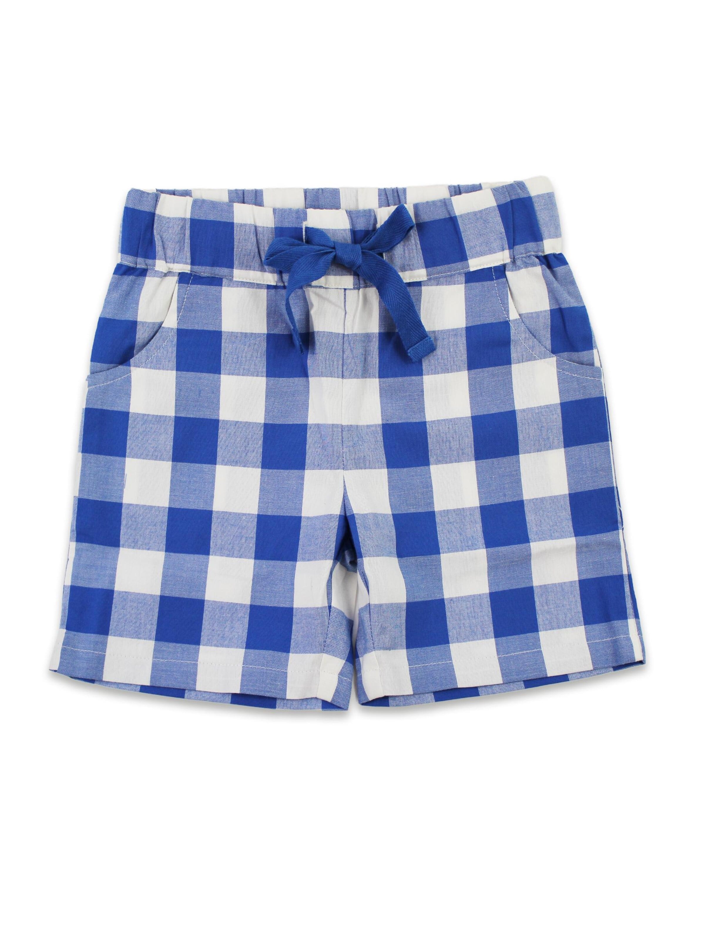 Toby Tiger Regular Pants in Blue: front