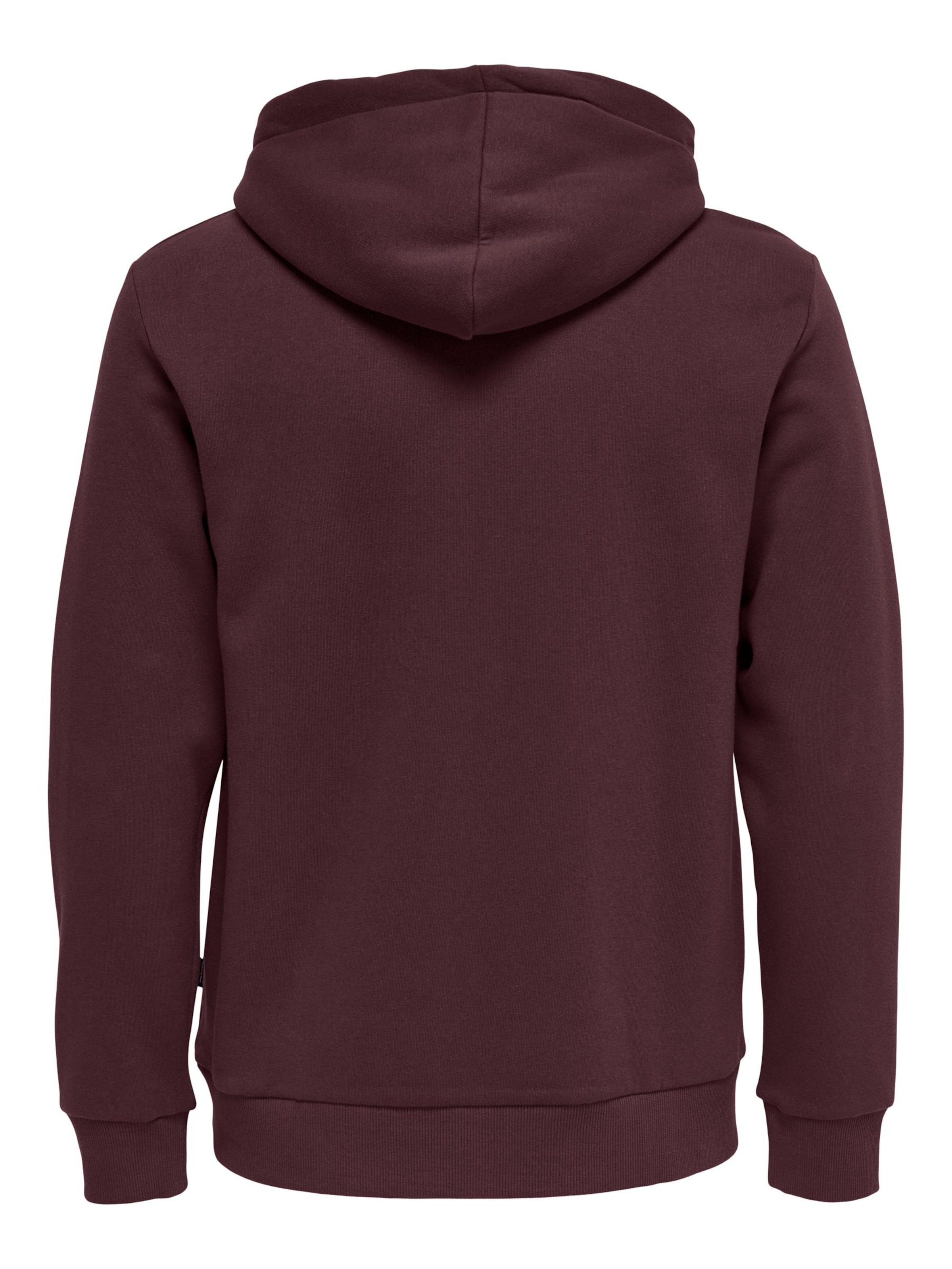 Only & Sons Regular Fit Sweatshirt 'ONSCeres' in Lila