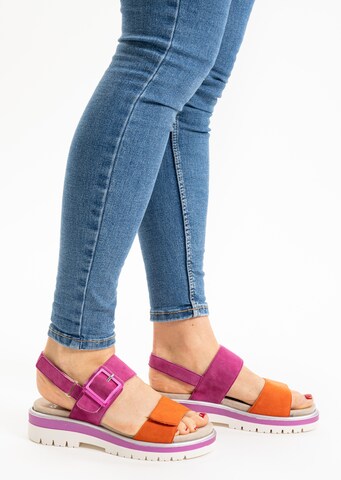 ARA Sandale in Pink: Vorderseite