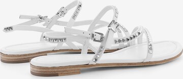 Kennel & Schmenger Strap Sandals ' ELLE ' in White