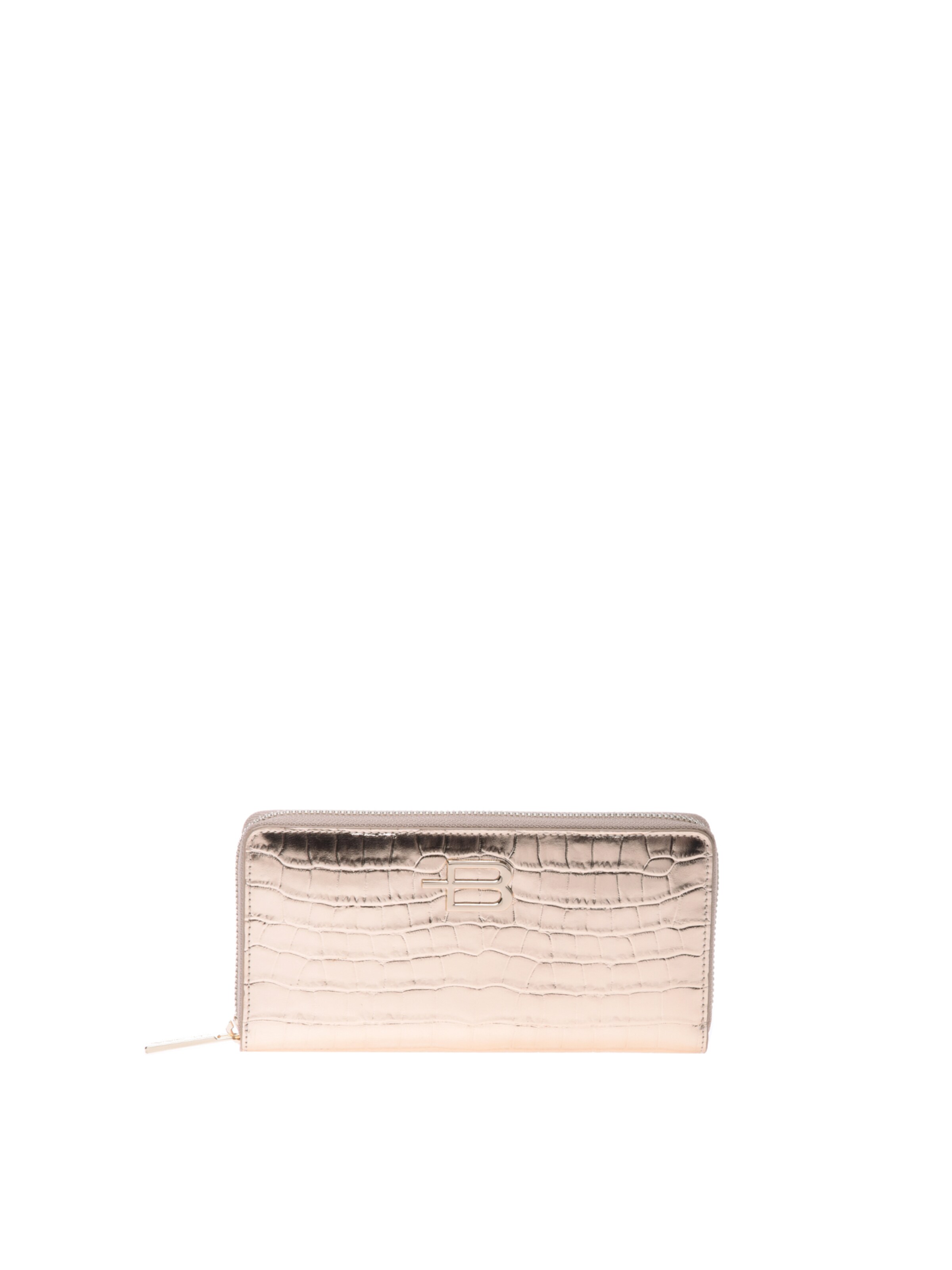 BALDININI Wallet in Silver: front