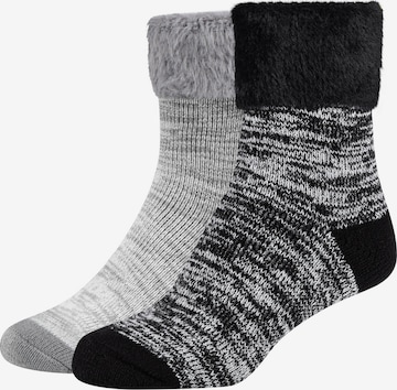 camano Socks in Grey: front