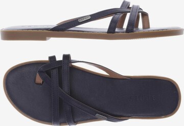 ESPRIT Sandalen 38 in Blau: predná strana