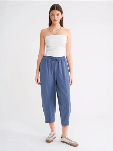 Tapered Pantaloni di MixRay in blu