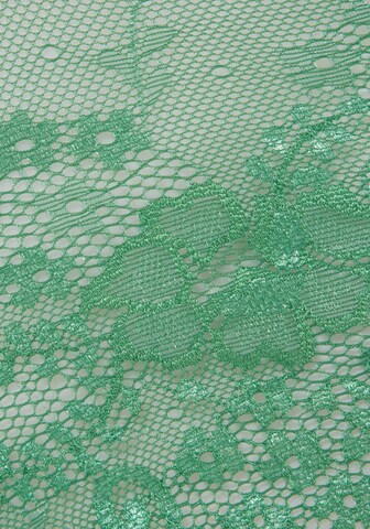 regular Panty di LASCANA in verde