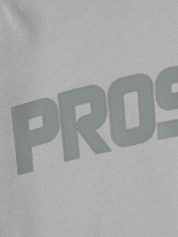 Prosto Sweatshirt 'Big Log Washed' in Grey