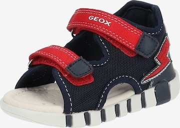 GEOX Open schoenen in Blauw: voorkant