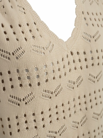 Ivy Copenhagen Pullover ' IVY-Breeze ' i beige